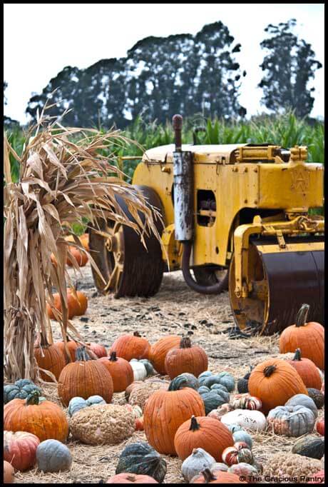 Clean Eating Pumpkin Clean Eating Pumpkin