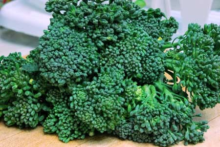 A closeup of a bunch of broccoli laying on a cutting board.