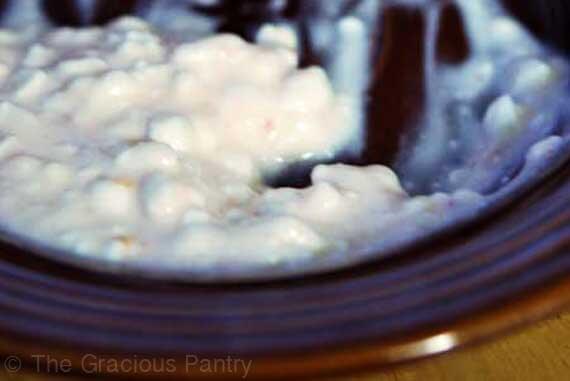 Cottage Cheese And Yogurt The Gracious Pantry