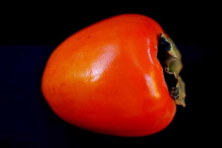 A single Hachiya Persimmon laying on it's side on a dark background