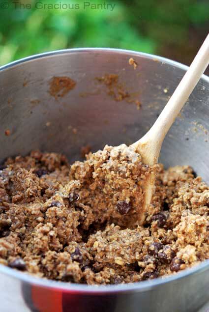 Clean Eating Cinnamon Chocolate Chip Protein Bars Recipe Clean Eating Cinnamon Chocolate Chip Protein Bars Recipe