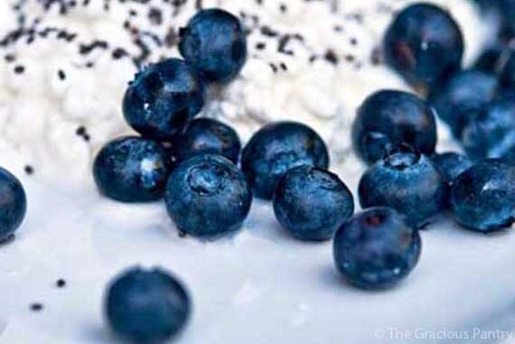 Blueberry Cottage Cheese Recipe