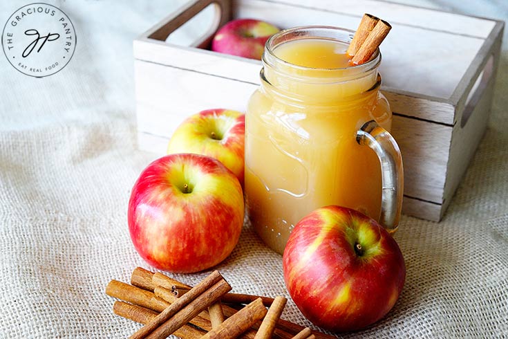 A side view of this hot apple cider recipe shows a full mug of cider with cinnamon sticks in the mug for stirring.