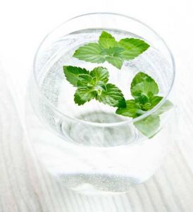 A glass of HomeMade MetroMint with fresh peppermint leaves floating in the top of the glass.