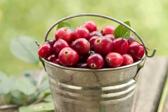 9 Ways To Eat Cranberries