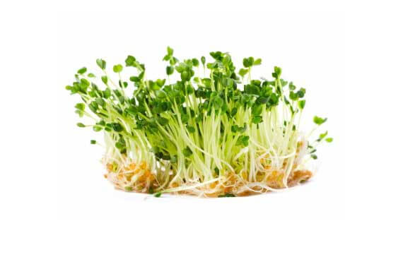 Clean Eating Grocery List For Sprouts Market