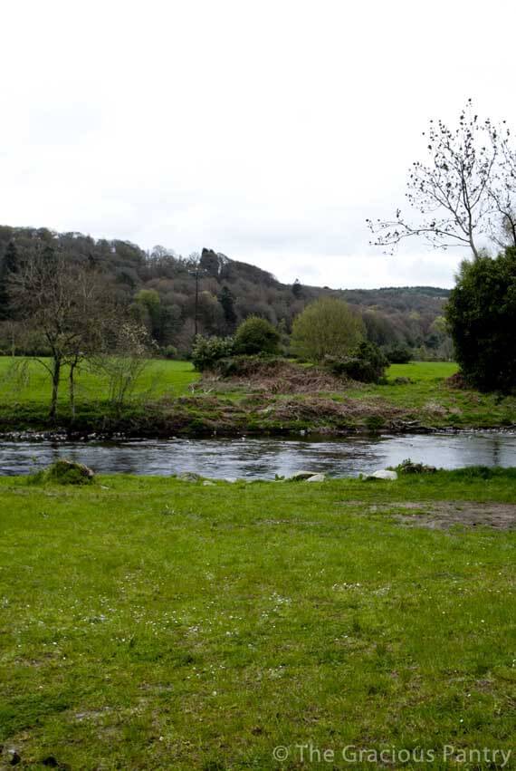 The view of the land behind the Ashton House which shows lush green grasses running along side a beautiful creek. This is from the trip I took to Ireland which inspired this recipe for Clean Eating Irish Colcannon