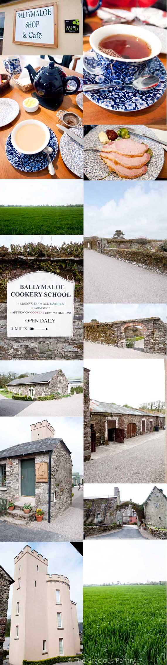 A photo collage of different areas of the grounds at the Ballymaloe Cooking School as well as a few images of the meal we had there.