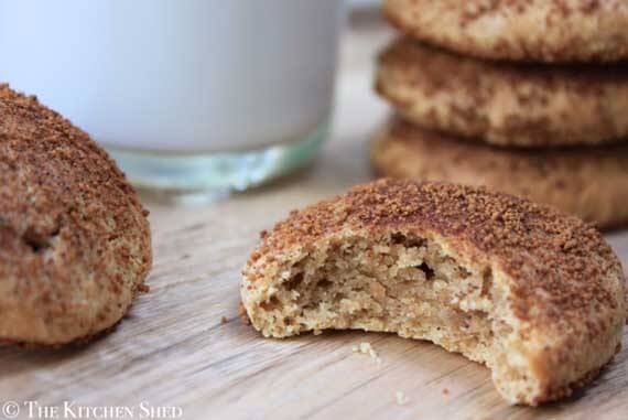 Clean Eating Snickerdoodles