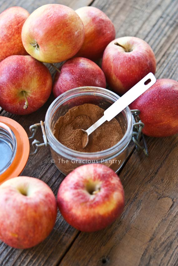 Apple Pie Spice in a jar with a scoop in it.