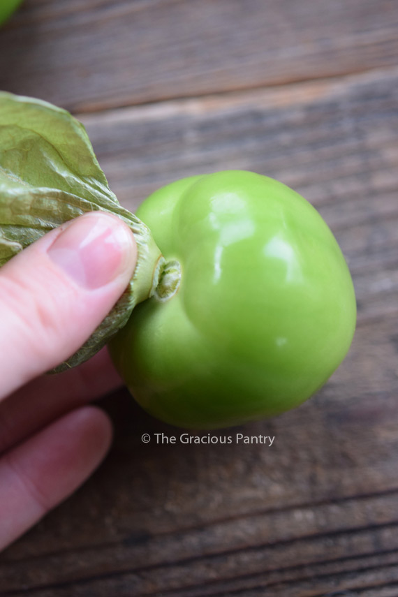 A tomatillo having it's husk removed. Image shows the removal of the husk at the stem area.