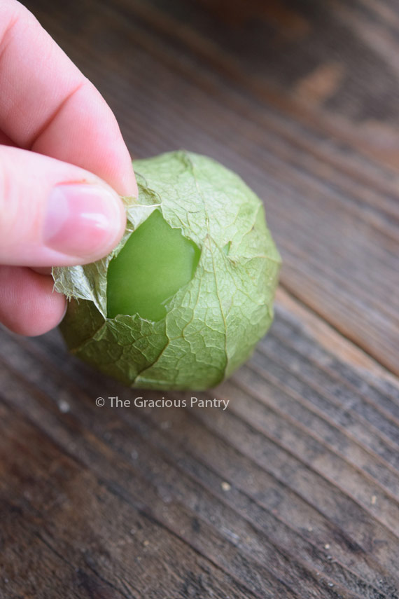 A single tomatillo having it's husk peeled away to show it's bright, shiny, green skin underneath.