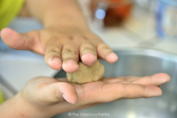 Clean Eating Indian Roti Recipe