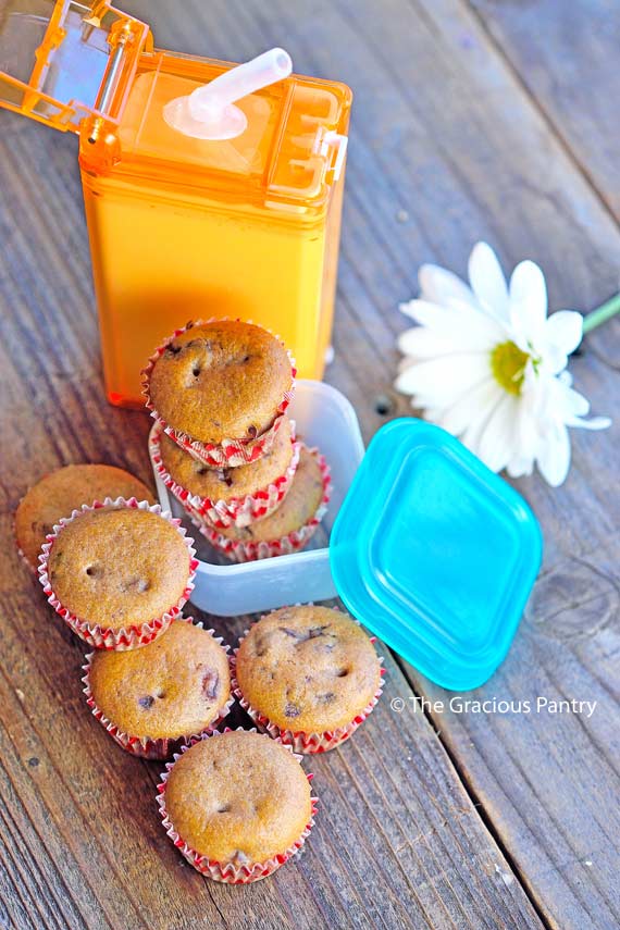 Several Clean Eating Lunchbox Muffins surround a reusable juice box filled with milk. A few of the muffins sit in a lunchbox sized container to show their size. There is a white flower off to the side.