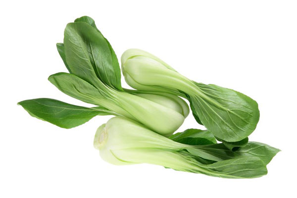 Bok Choy - Your Guide To Cabbage