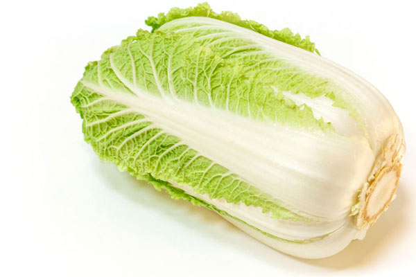 A head of Napa cabbage