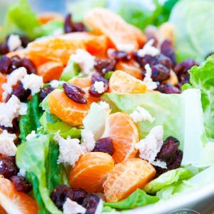 Clean Eating Mandarin Orange Chicken Salad With Dried Cranberries