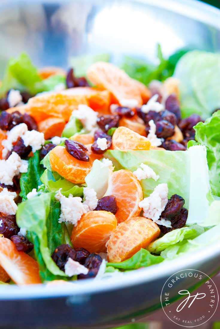 Clean Eating Mandarin Orange Chicken Salad With Dried Cranberries shown up close in a metallic bowl.