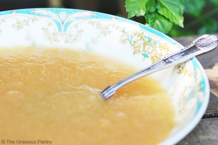 A bowl of apple sauce sits with a spoon resting in it.