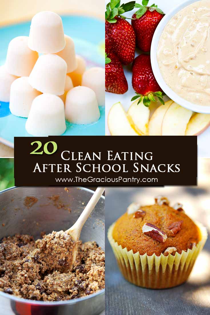 20 Clean Eating After School Snacks