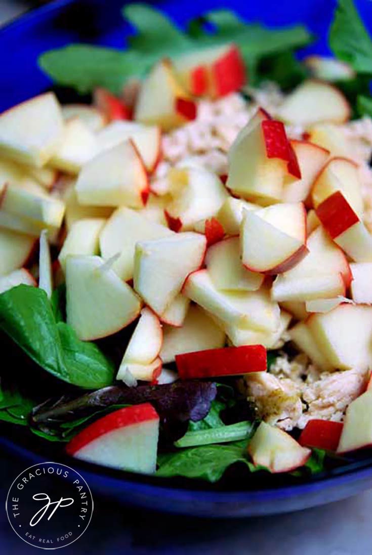 An up close shot of this Chicken Apple Salad recipe shows the chunks of apple nearly covering the chicken and lettuce below. The dish looks (and is!) refreshing and healthy.