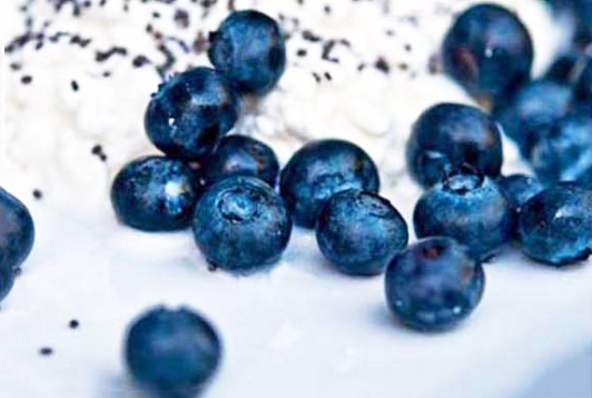Bright blueberries and chia seeds sit sprinkled over a bed of cottage cheese.