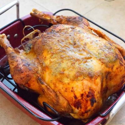 A roasted Thanksgiving turkey cooling in a roasting pan.