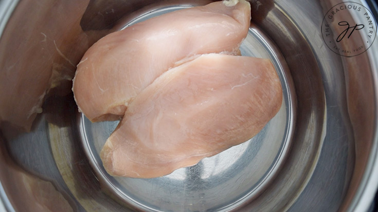 Two chicken breasts sitting in an Instant Pot.