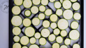 The sliced zucchini lined up in a single layer on the dehydrator tray.