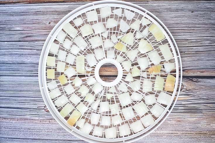 Chopped, raw onion pieces placed on a white, round, dehydrator tray.