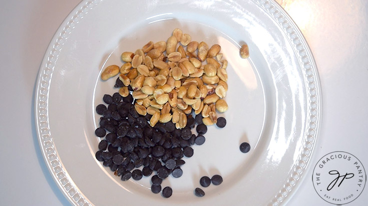 A small pile of peanuts and chocolate chips sitting side by side on a white plate.