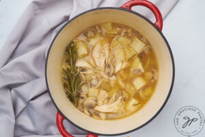 All the ingredients for this Chicken And Parsnip Soup Recipe cooking in a red stock pot.