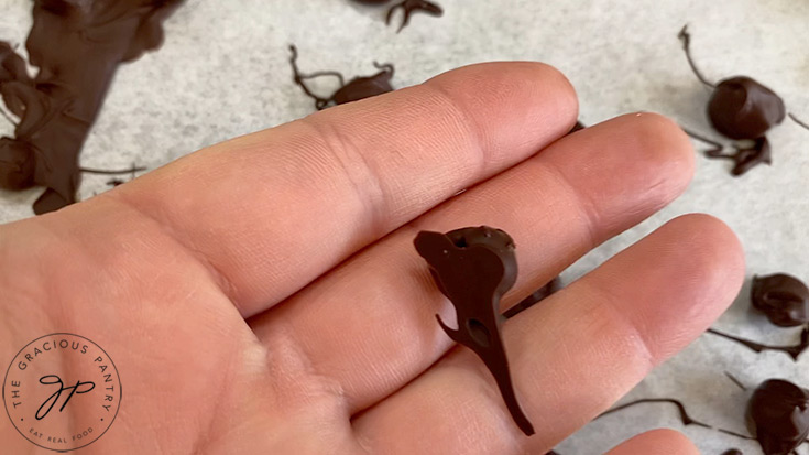 A hand holds a single, chocolate covered chickpea.