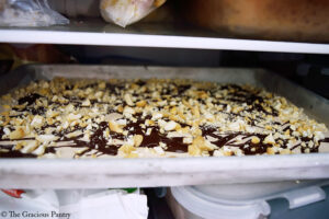 Chocolate Peanut Butter Frozen Yogurt Bark sitting in the freezer.