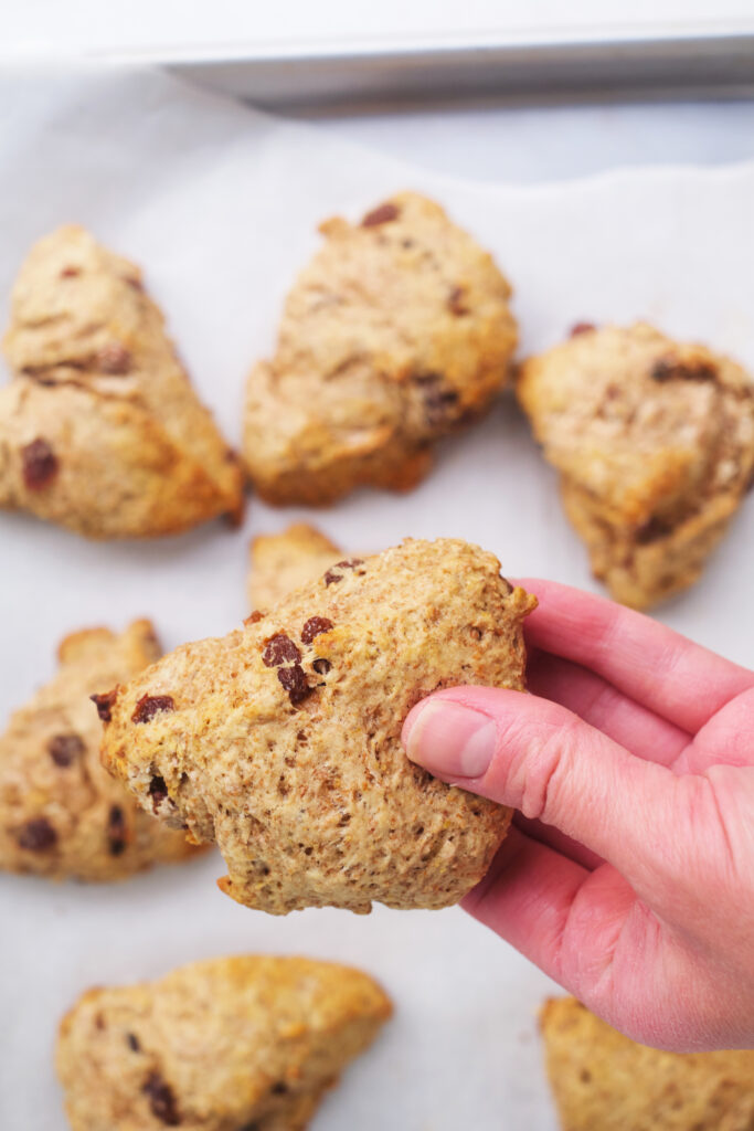 A hand picks up a single scone off a baking pan full of them.