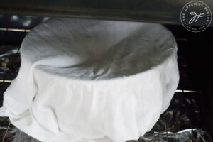 Setting the covered dough bowl in an unheated oven to rise.