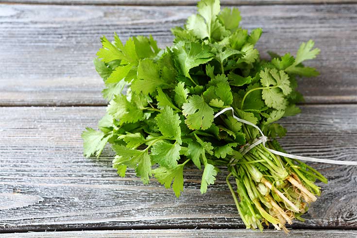 A bunch of fresh cilantro on a wooden surface.