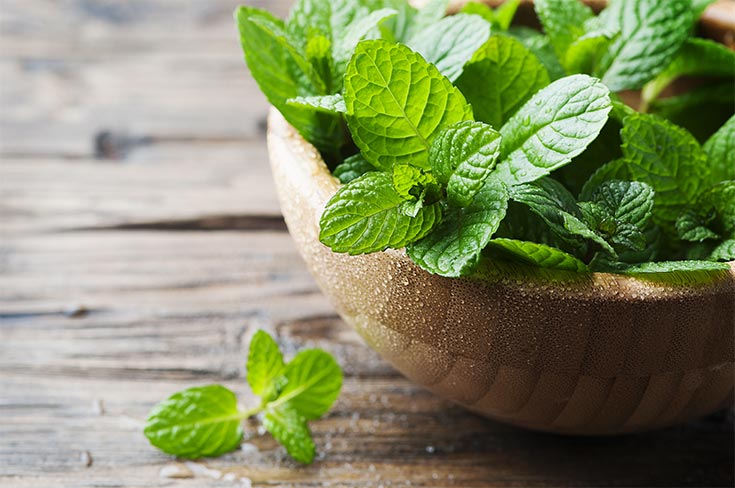 A bunch of fresh mint in a wooden bowl.