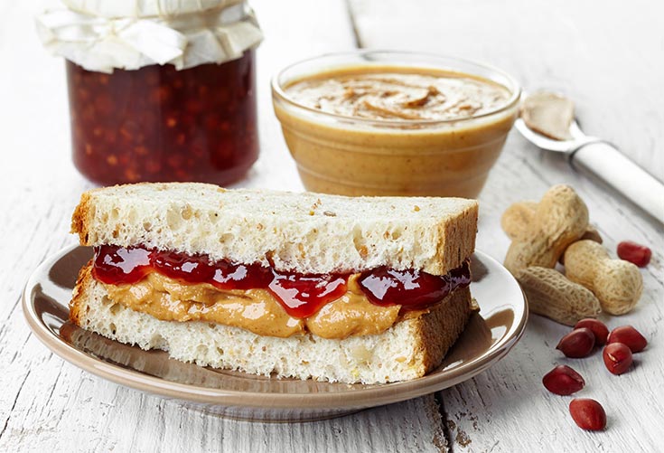 A plate holding half a peanut butter and jelly sandwich.