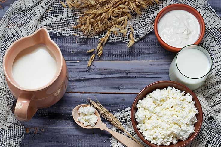 Dairy products: milk, cottage cheese, and yogurt in individual bowls.