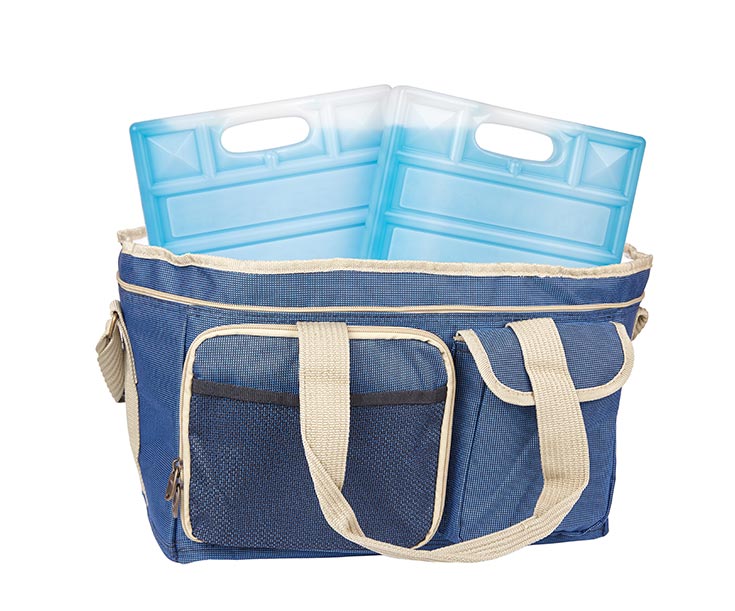 Ice packs in a lunch bag.