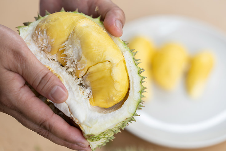 A durian pod held cut open.