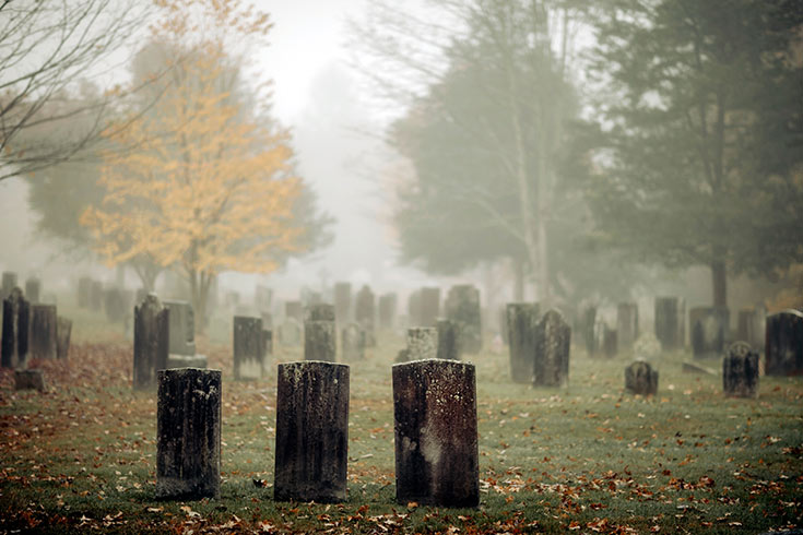Graveyard Picnic Recipes For Fall