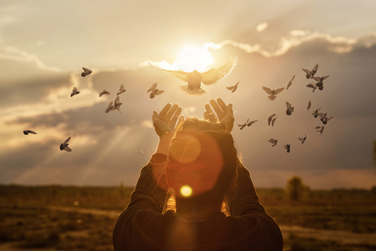 A woman holding her hands into the sky as she releases a dove into the sunlight.