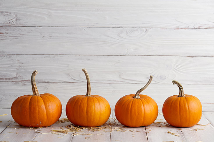 A row of four pumpkins with stems.