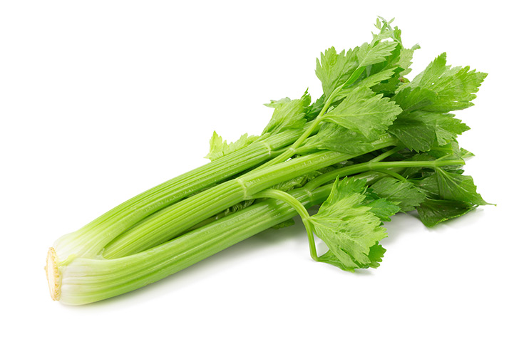A bunch of celery on a white background.