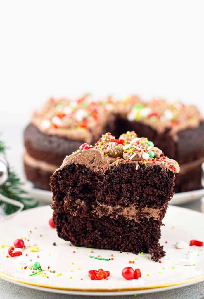 A side view of a slice of Chocolate Christmas Cake on a plate.