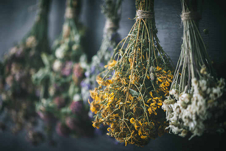 Hanging bunches of herbs in a row.