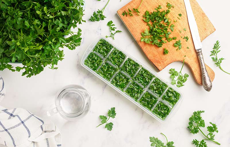 Herbs frozen in an ice cube tray.