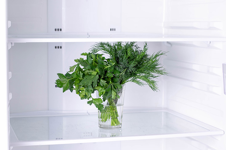A bunch of herbs in a glass of water sitting in an empty fridge.